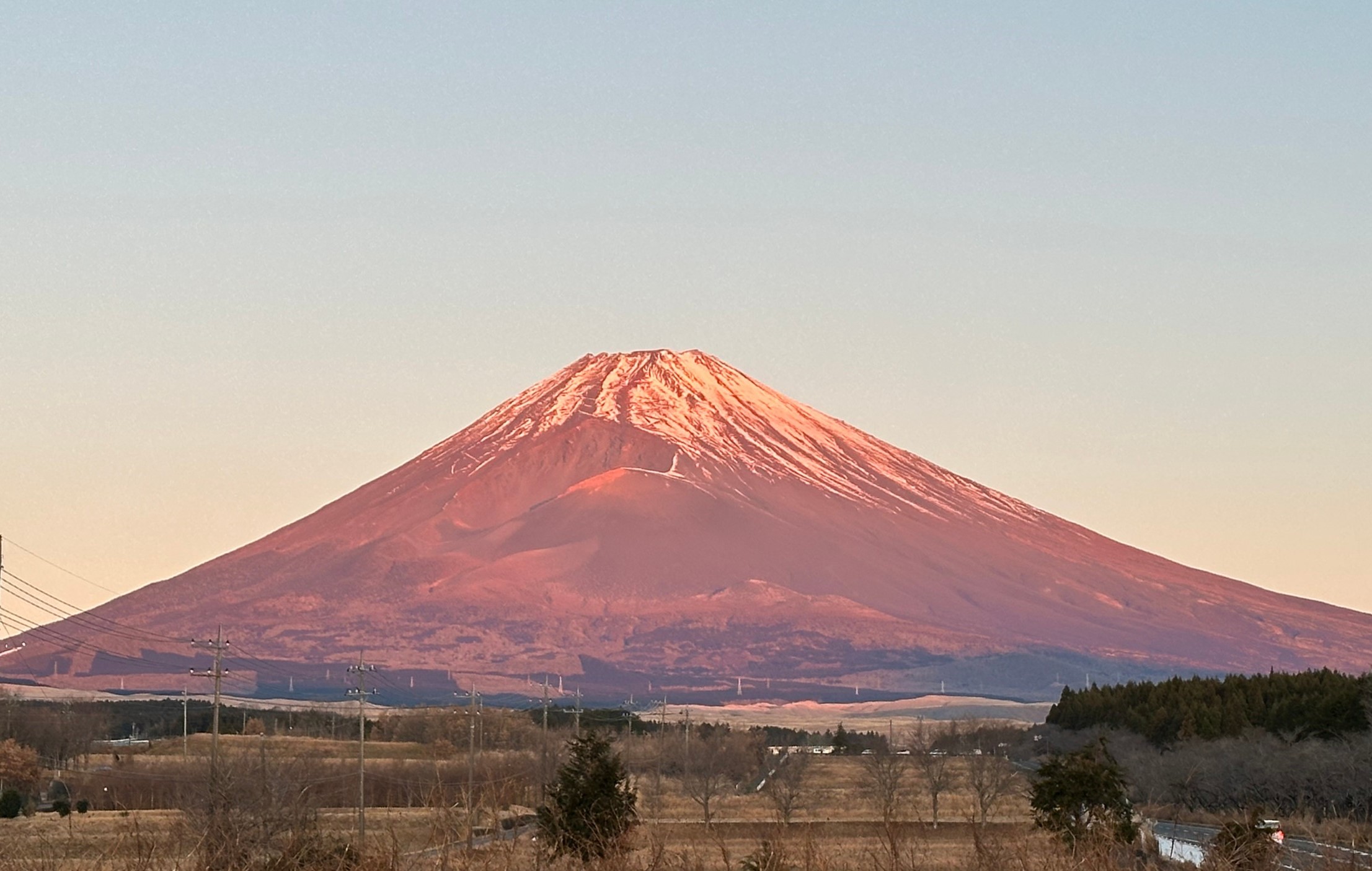 新年あけましておめでとうございます【2025年】