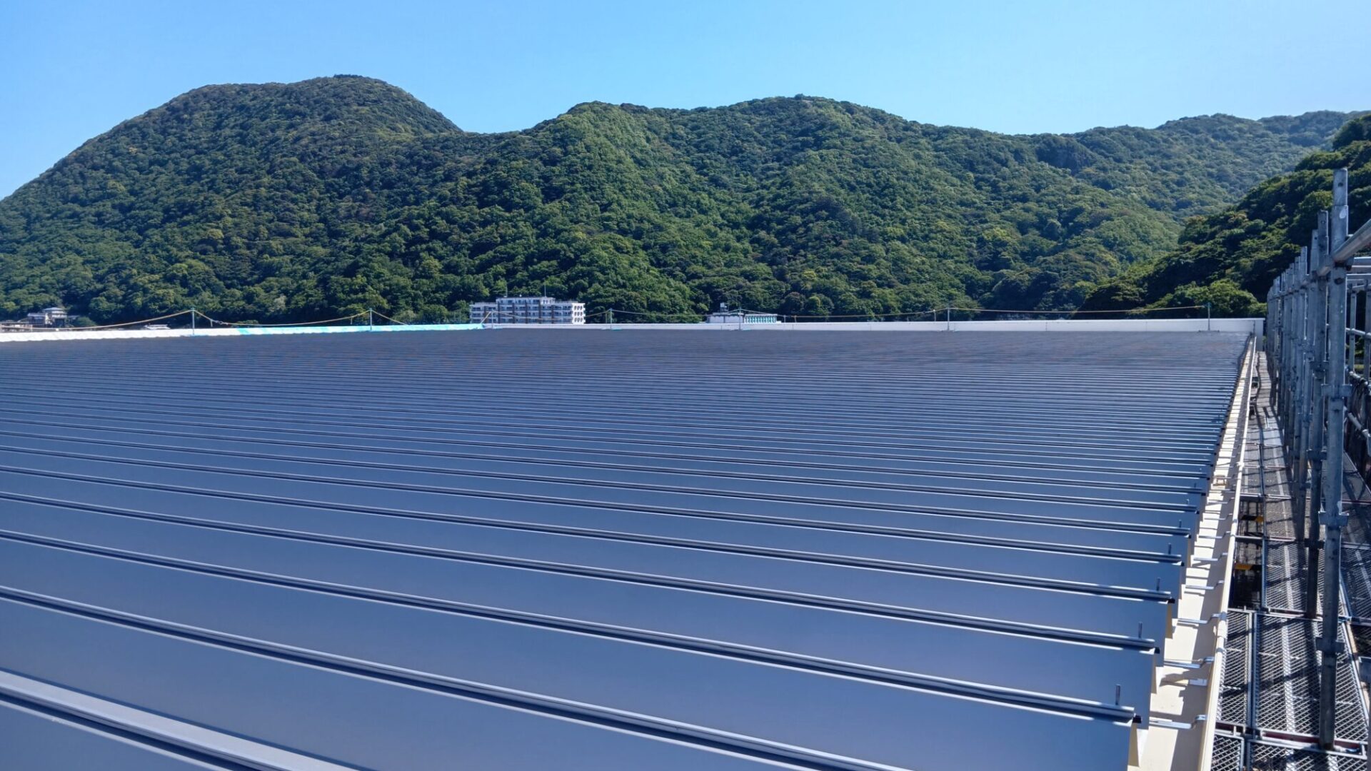 沼津市 冷凍倉庫 屋根改修工事